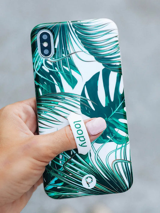 Monstera